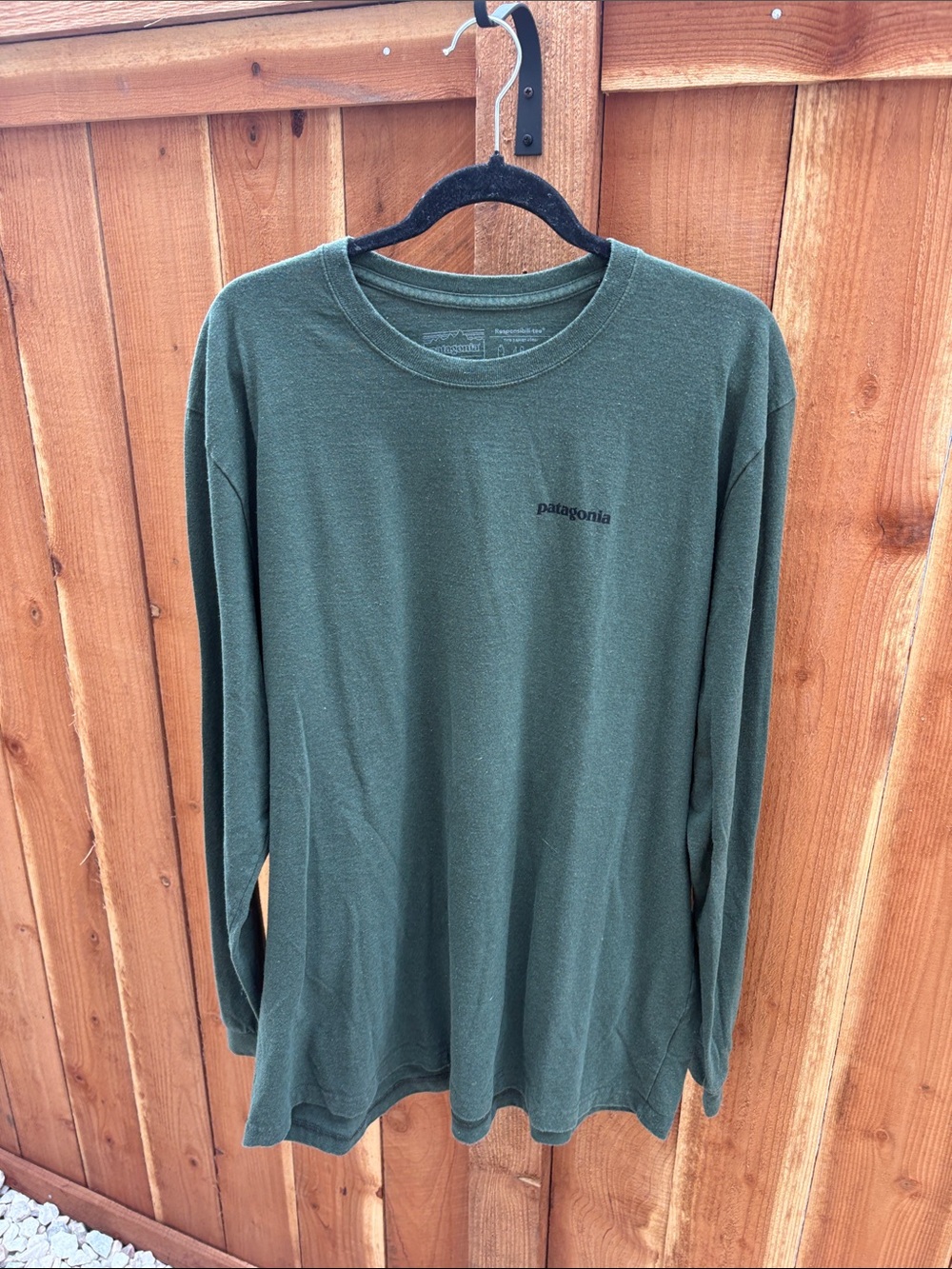 Patagonia Long-Sleeve Crew in Forest Green